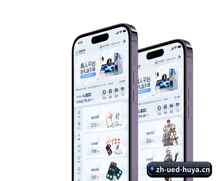 国际化进程